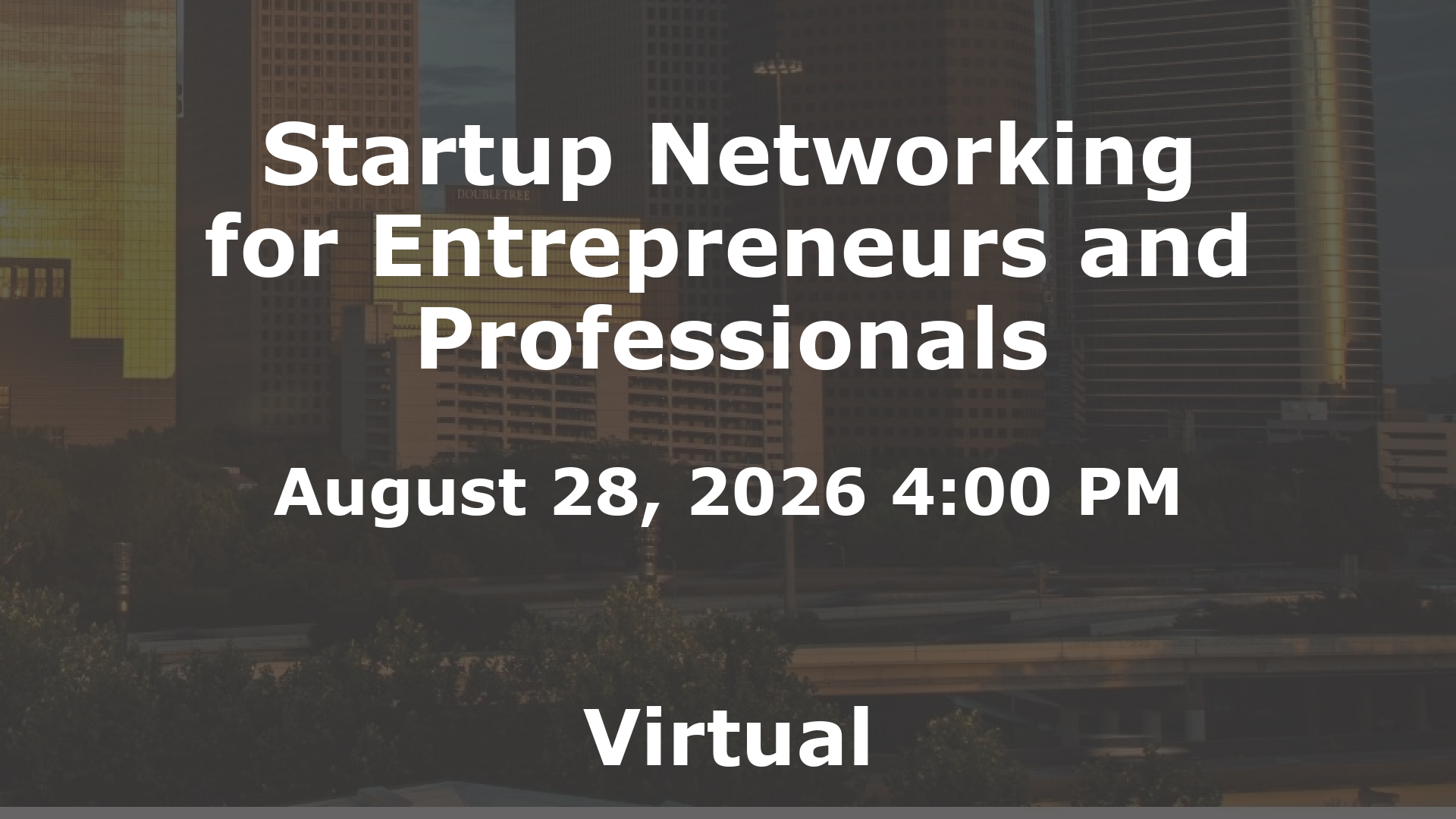 Startup Networking for Entrepreneurs and Professionals event image